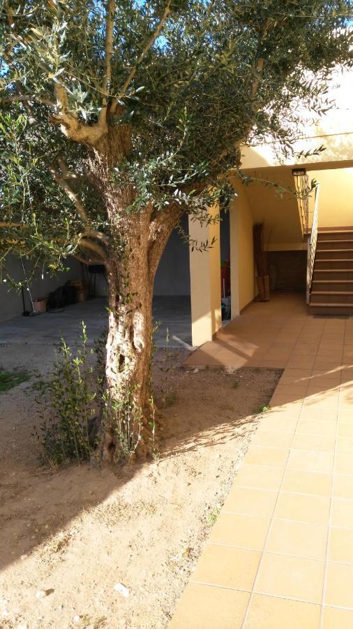 La Pallissa 9 Torroella De Montgri Exterior photo